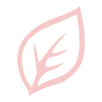 Premium Quality